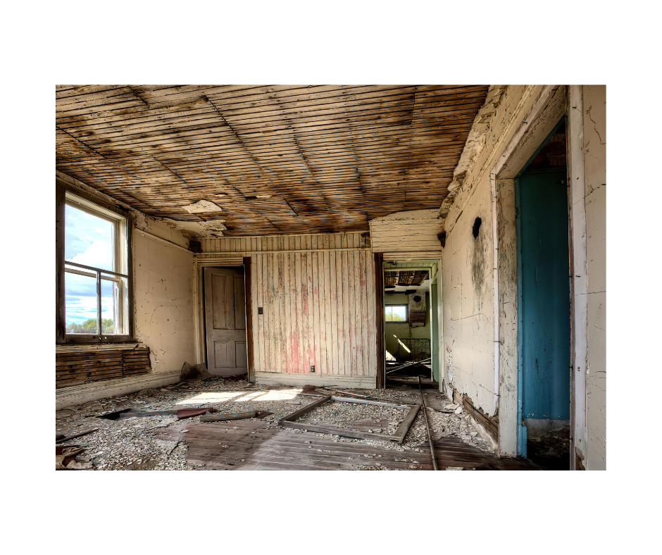 Mold Remediation on Long Island