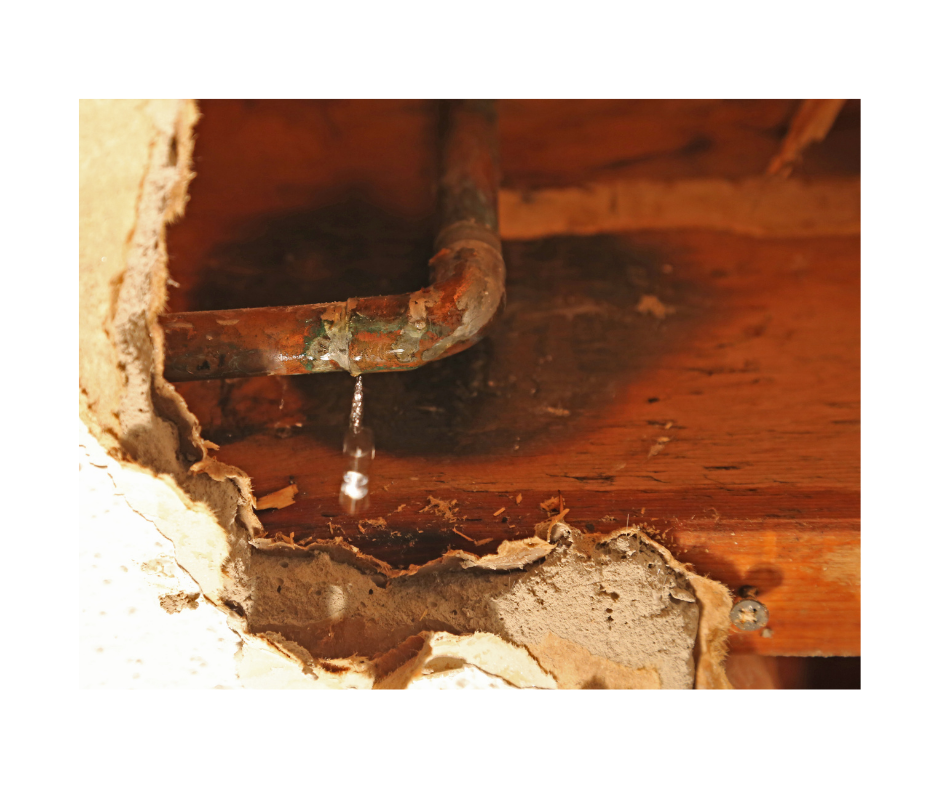 Property restoration technician at work on Long Island